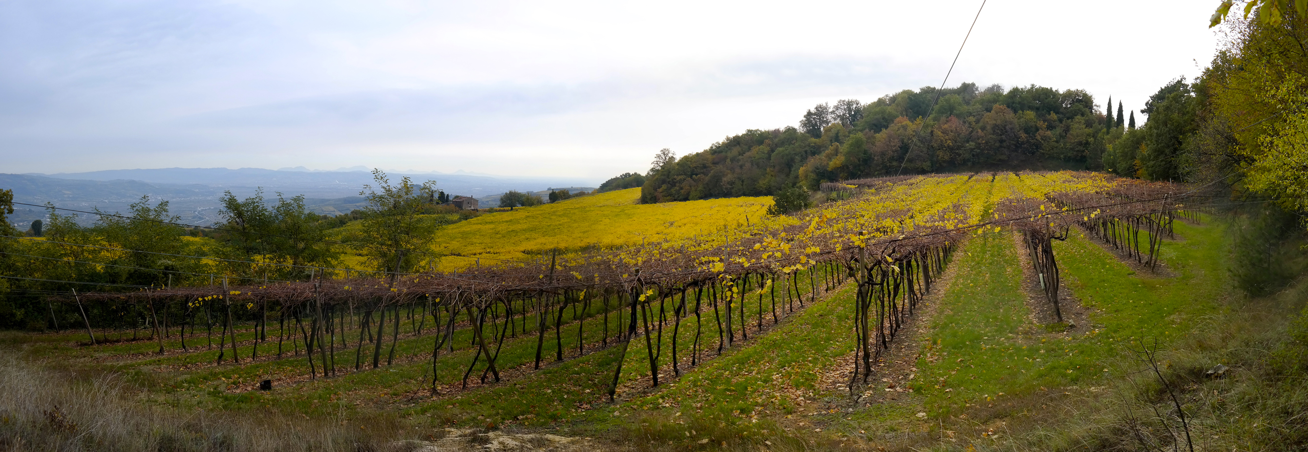 [cml_media_alt id='845']panoramica_senza-titolo3[/cml_media_alt]